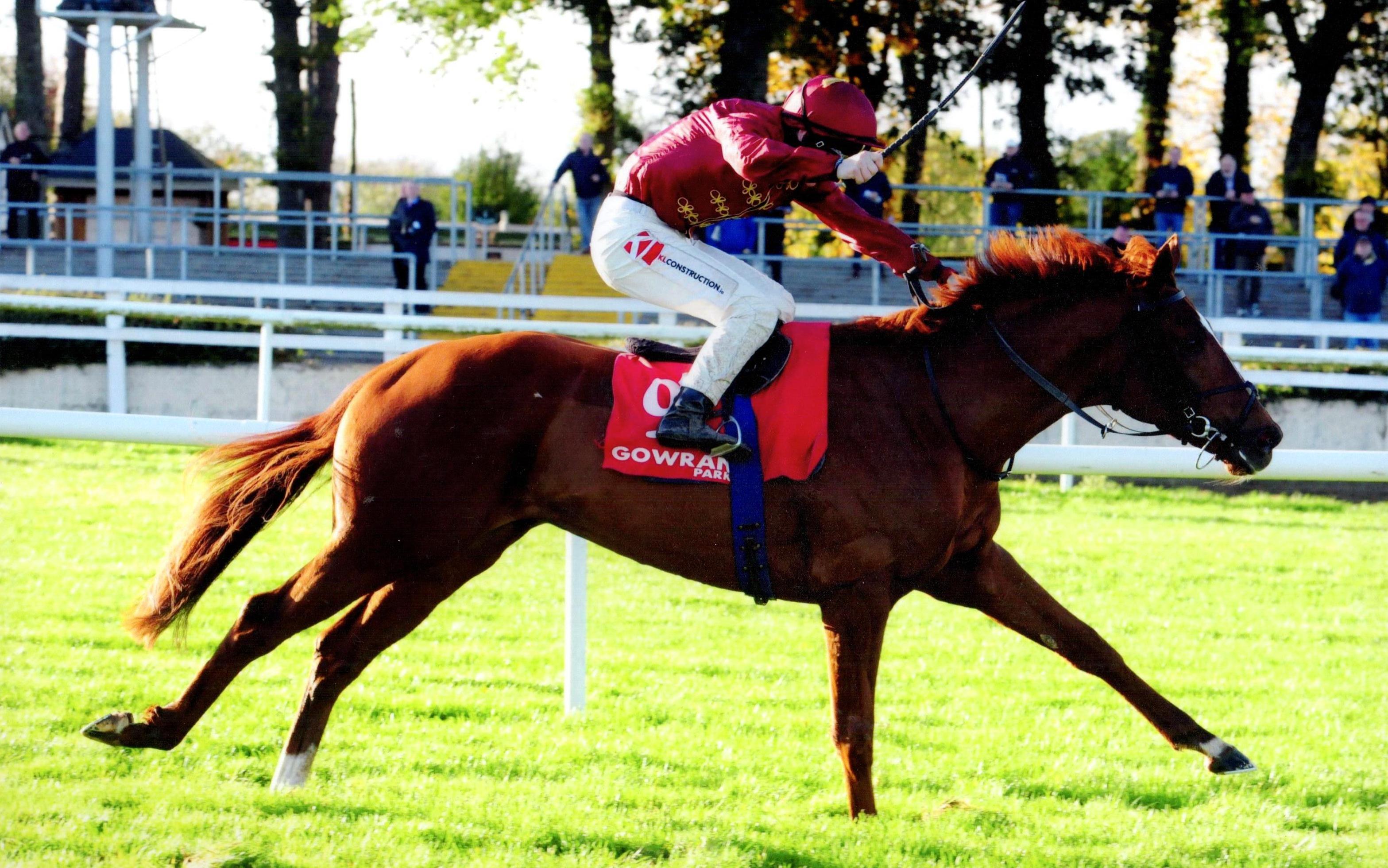 WORLD WAR gets his head in front at Gowran Park 11th October 2017